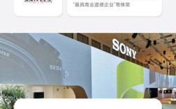 索尼科技招聘，岗位要求与薪资待遇如何？