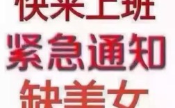 叮当派招聘,寻找怎样的你?