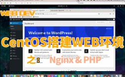 centos 网站搭建，CentOS网站搭建步骤有哪些？