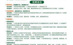 招聘经验分享，有哪些实用技巧？