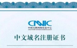 中文域名建站量怎么查？