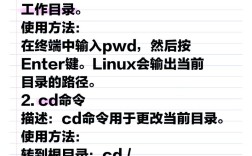 如何显示目录及文件？命令有哪些？