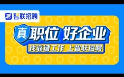 智联招聘电脑版与官网功能有何差异？