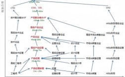 互联网分公司如何组建，互联网分公司组建，关键步骤与核心要点是什么？