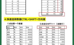 Excel计算式命令有哪些常用函数？