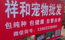 招聘狗招聘真的免费吗？