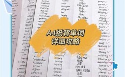 a4纸如何快速记住单词