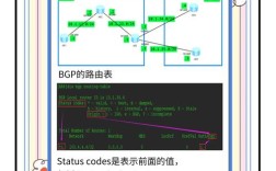 如何测试VPS是否BGP三线，如何测VPS是否为BGP三线？