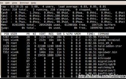 Linux看进程命令有哪些常用选项？