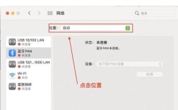网站如何连上网？关键步骤是什么？