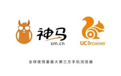 企业网搭建神马，企业网搭建神马？关键步骤与避坑指南？