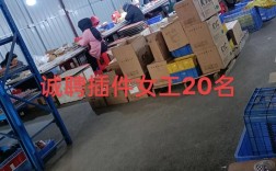 西乡插件招啥岗？要求多少薪？