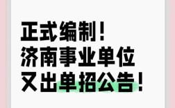 网易C岗招聘，要求有哪些？
