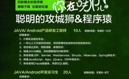 编程语言招聘，编程语言招聘，最看重什么能力？