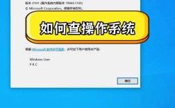 如何快速查看网站的虚拟主机信息？