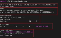 Linux dig命令，如何高效查询DNS信息并解析常见问题？