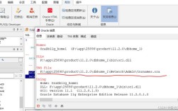 Oracle连接远程数据库命令有哪些？