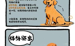 考虫怎么进？门槛高吗？