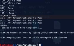 nessus命令如何使用？有哪些常用参数？