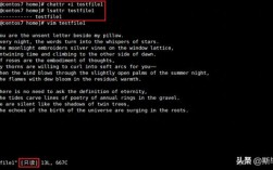 追加记录的命令是什么？