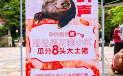 小猪罐子招聘，什么岗位在招？