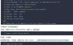 namp命令如何快速入门与高效使用？