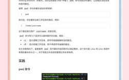 Linux中pwd命令的用法是什么？