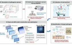 Cellwise招聘，具体岗位和要求是什么？