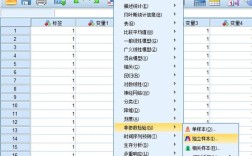 SPSS命令窗口怎么用？