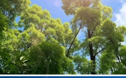 PS曲线光晕怎么做？