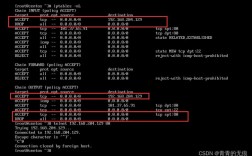 dd-wrt telnet命令有哪些实用技巧？