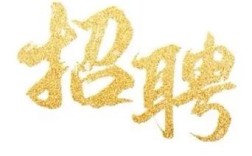 combal招聘有哪些具体岗位和要求？