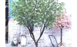 Maple Tree招聘,有哪些岗位要求?