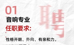 dspic招聘需要哪些技能和经验？