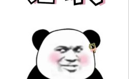 招聘君合集，包含哪些岗位信息？