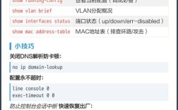 思科命令怎么用？