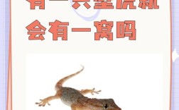 壁虎标识招聘，具体岗位和要求是什么？