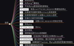 ping命令常用参数有哪些？