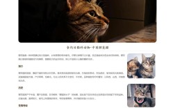 猫咪网站建设项目简介的核心目标是什么？