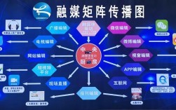 外链建设与新媒体推广如何高效协同？