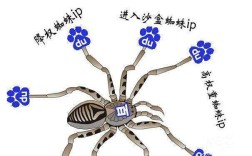 百度蜘蛛怎么识别？