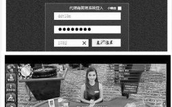 合肥缘何涉足网络赌博网站建设？