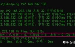 在VB中如何正确使用清除命令，不同清除命令（如Clear、Cls）的区别和适用场景是什么？