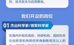 MIMO通信招聘有何具体岗位要求？