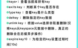 Brocade 300命令有哪些？
