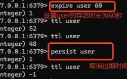 Redis server 常用命令有哪些?