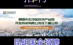 昆明 VBA 招聘，昆明VBA招聘，具体要求有哪些？