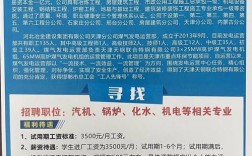 avl中国招聘，AVL中国招聘哪些岗位？要求是什么？
