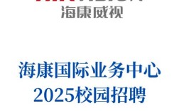 海康 招聘 收入，海康招聘收入多少？薪资待遇如何？