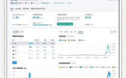 网站分析客户，如何精准洞察用户需求？